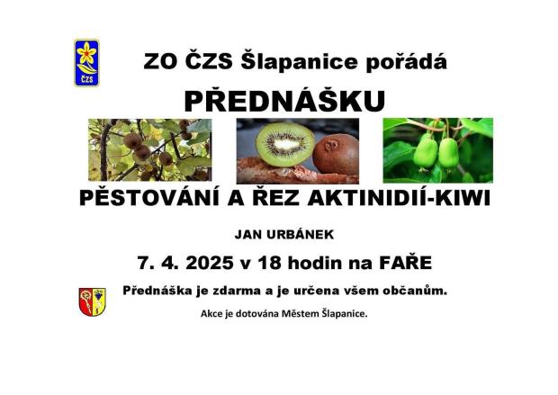 Plakát