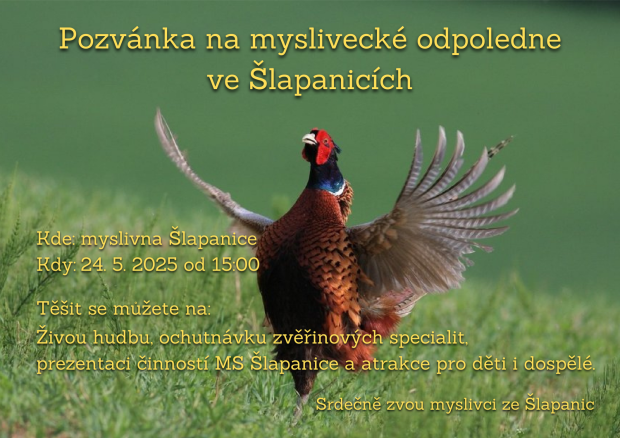 Plakát