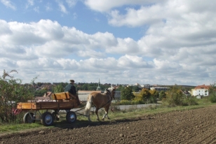Panorama