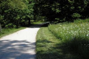 Příklad logického přechodu sečených ploch podél chodníku do vyšší kvetoucí louky, (park v Lednici)