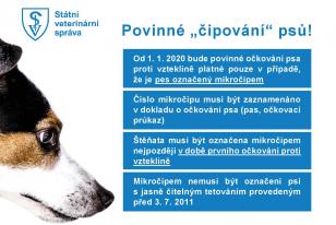 Letak_k_cipovani_psu