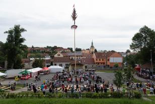 07
