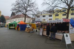 IMG_20240217_081141