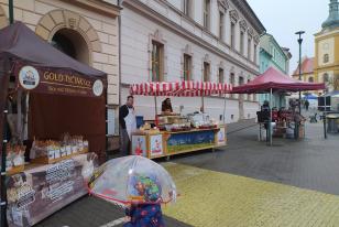 IMG_20240217_081217