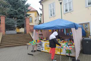 IMG_20240217_081433
