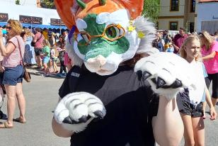 IMG-20240624-WA0017
