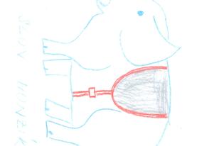 31