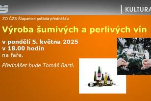 Snímek26