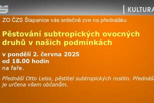 Snímek18