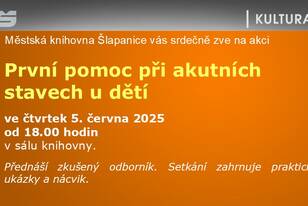 Snímek19