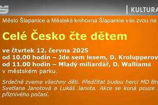 Snímek19