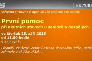 Snímek30