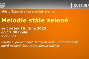 Snímek29