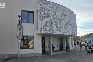 Snímek74