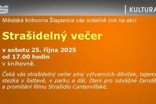 Snímek19