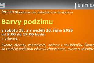 Snímek20