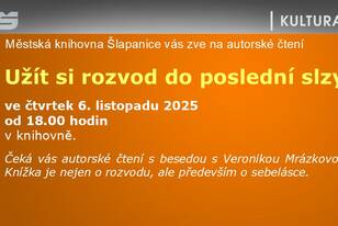 Snímek24