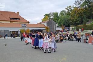 Snímek61