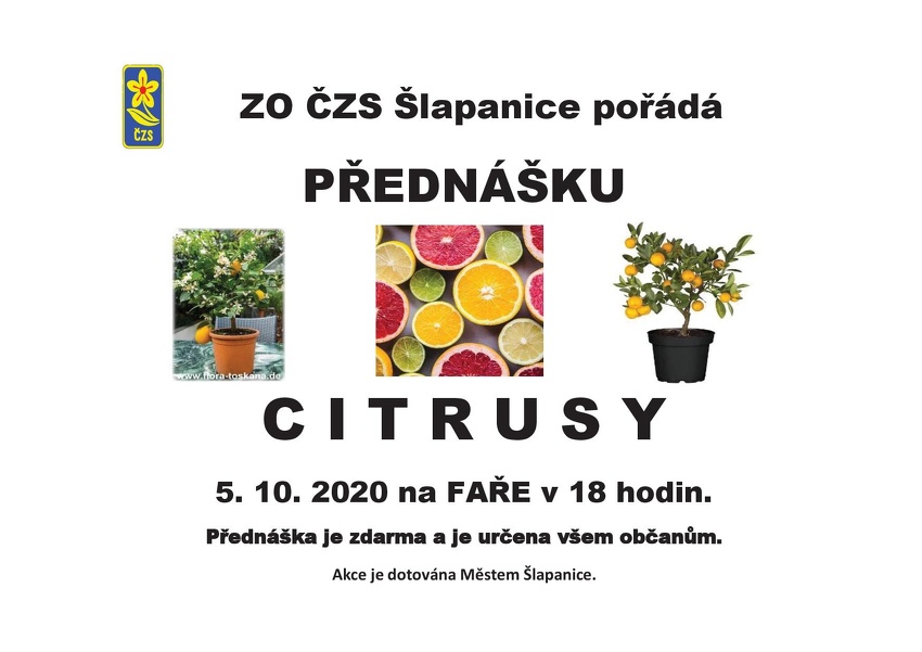 Plakát