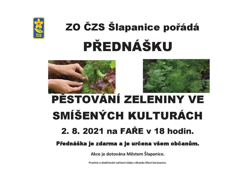 Plakát