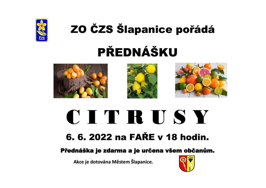Plakát