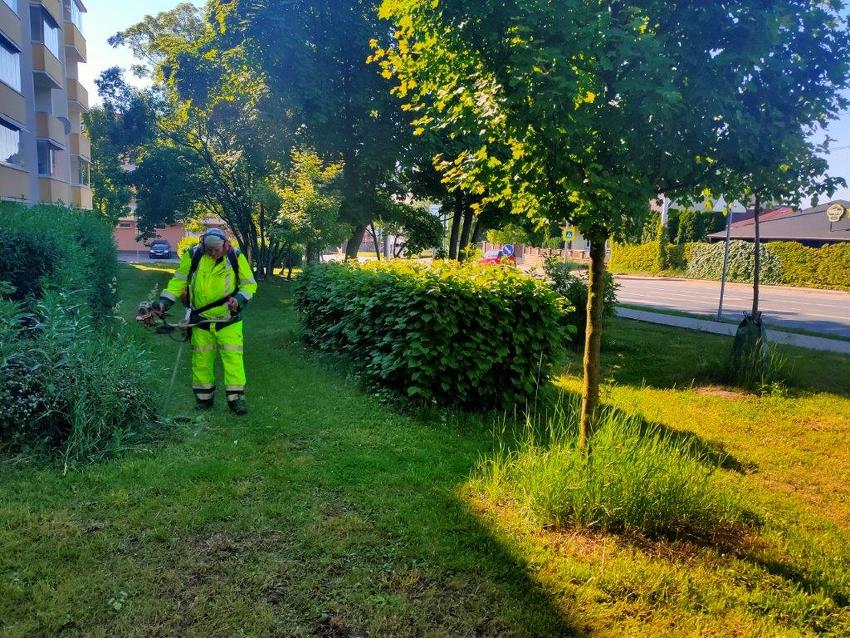 Probíhá průběžné sečení trávy