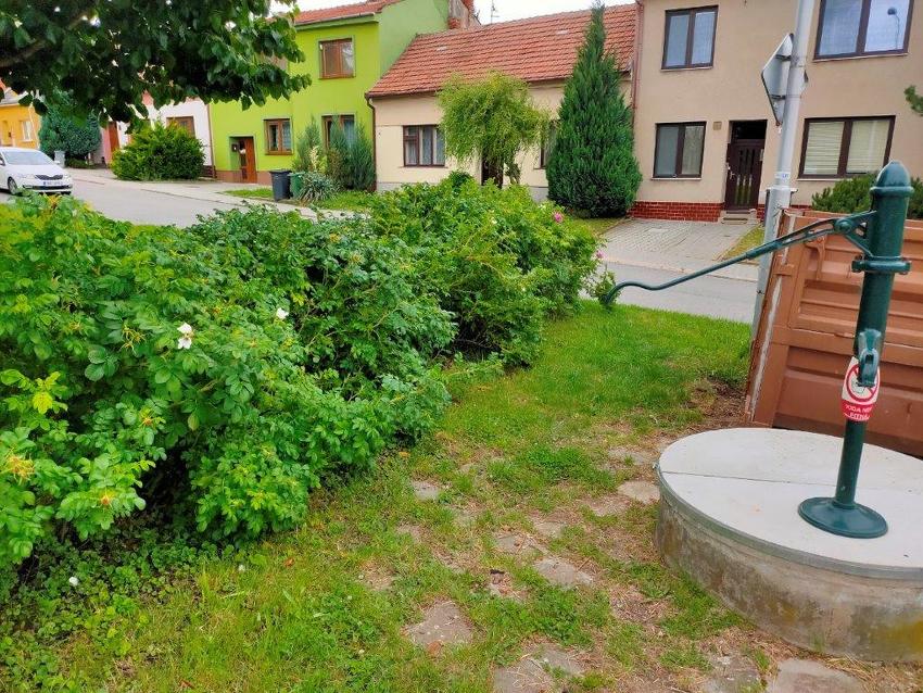 Další zeleň v rukou města I